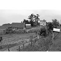 Tobacco Farm 1939 Na Hillside Farmhouse Outbuildings And Tobacco Field With Erosion In Person County North Carolina Photograph By Dorothea Lange July 1939 Poster Print by (18 x 24)