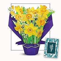 Paper Flower Bouquet Card, Pop Up Cards, 11 inches with Note Card and Envelope - Yellow Daffodils