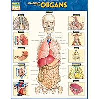 Anatomy of the Organs (Quick Study Academic) Anatomy of the Organs (Quick Study Academic) Paperback