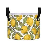 Lemon Colored Botanical Grow Bags 5 Gallon Fabric Pots with Handles Heavy Duty Pots for Plants Thickened Nonwoven Aeration Plant Grow Bag for Potato Tomato Fruits Flowers Garden