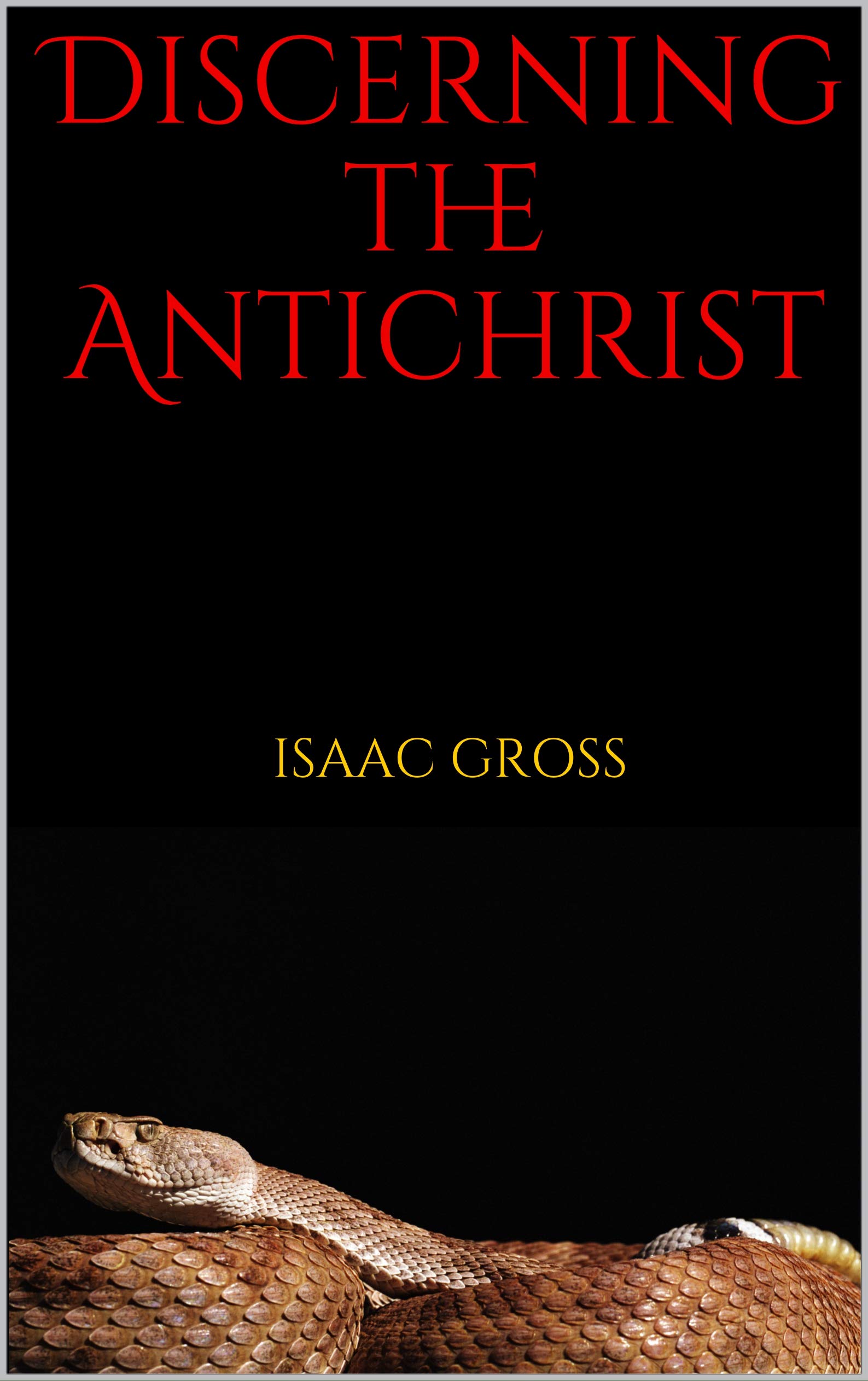 Discerning the Antichrist