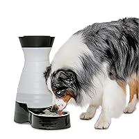Healthy Pet Water Station- Large, 320 oz Capacity- Gravity Cat & Dog Waterer- Removable Stainless Steel Bowl Resists Corrosion & Stands Up to Frequent Use- Easy to Fill- Filter Compatible