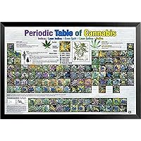 buyartforless Framed Periodic Table of Cannabis (Weed Marijuana Table) 36x24 Art Print Poster Educational Novelty Drug Smoking