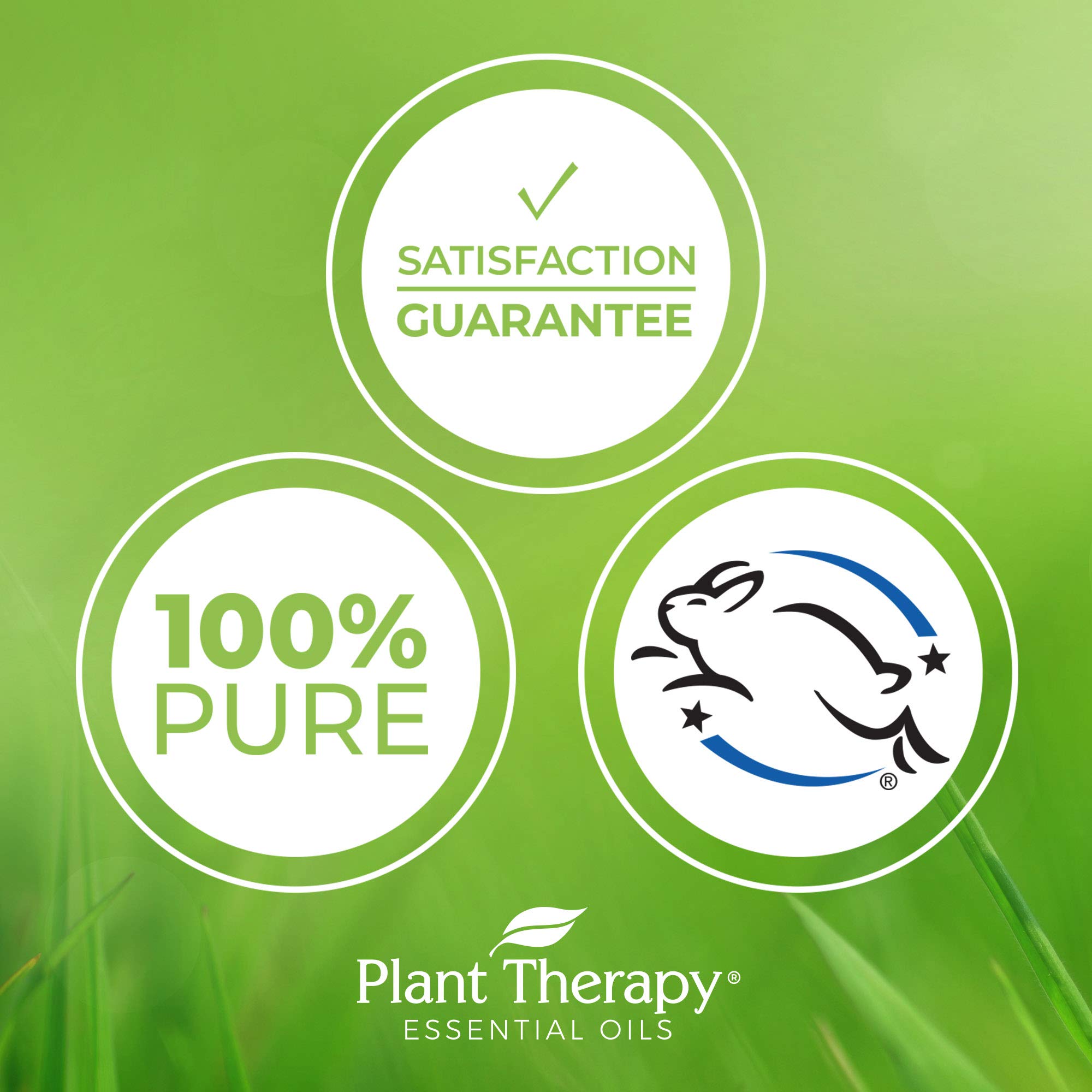 Plant Therapy Sensual Essential Oil Blend for Couples, Massage, Desire 100% Pure, Pre-Diluted Roll-On, Natural Aromatherapy, Therapeutic Grade 10 mL (1/3 oz)