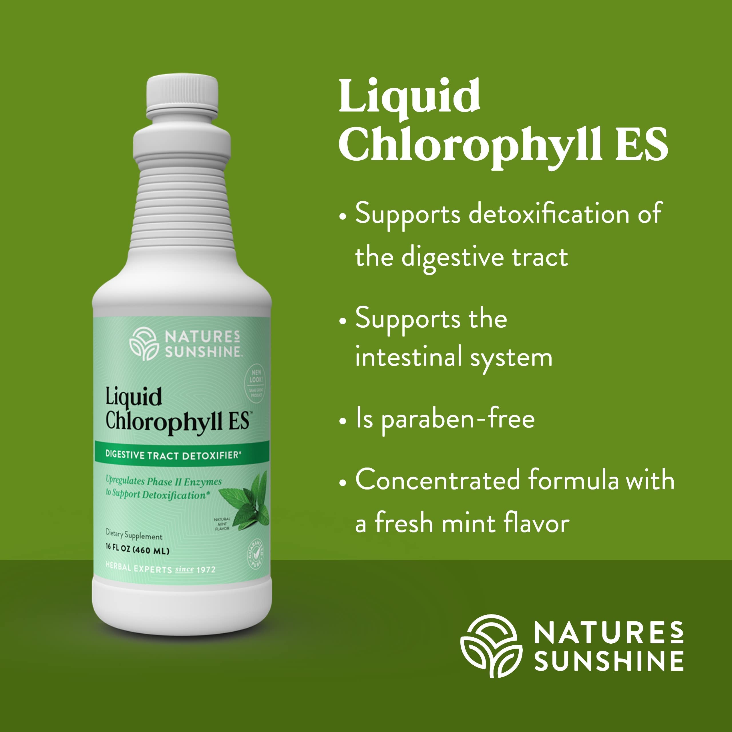 Nature's Sunshine Liquid Chlorophyll Extra Strength - Immunity Support, Detox & Cleanse, Chlorophyll Liquid Drops with Spearmint Oil, Natural Energy Boost, Internal Deodorant - 16 Fl Oz