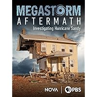 Megastorm Aftermath