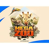 Mega Zoo Season 1