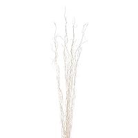 Green Floral Craft | 10 Stem Dried Curly Willow Branches 4-5 Feet Tall - Perfect Home Decoration and Floor Vase Filler (Off White)