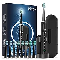 Sonic Electric Toothbrush for Adults - Rechargeable Electric Toothbrushes with 8 Brush Heads & Holder, Travel Case, Power Electric Toothbrush with Holder，3 Hours Charge for 120 Days - Silver