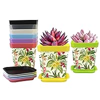 Plumeria and Hibiscus Planters Flower Pots Gardening Containers Plant Pots with Pallet Nursery Pots 8-Pack