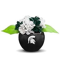 University Gifts for Women Artificial Plants, Man Cave Decor, University Faux Plants, University Gifts for Men, Gifts for Women, University Decorations, Desk Sets and Accessories for Women