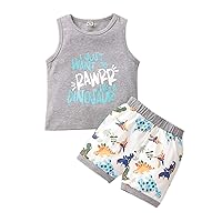 iiniim Newborn Baby Boys Girls Two Pieces Outfits Cartoon Short Sleeves Shirt Tops with Shorts Summer Clothes Set