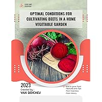 Optimal conditions for cultivating beets in a home vegetable garden: Guide and overview