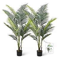 Aveyas 5ft Artificial Palm Tree for Home Decor, 5 Feet Faux Plant Fake Silk Tropical Kentia Areca Trees with Pot for Indoor Outdoor House Living Room Office Porch Garden (5 ft Tall) - Set of 2 Pack