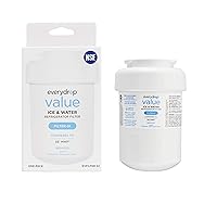 Everydrop Value by Whirlpool, Replacement for GE MWF Refrigerator Water Filter, EVFILTERG1, Single-Pack