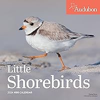 Audubon Little Shorebirds Mini Wall Calendar 2024: A Tribute to the Diversity of Shorebirds and the Fragile Ecosystems they Inhabit