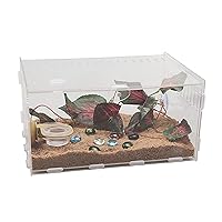 Acrylic Critter Keeper Jumping Spider Enclosure Snail Container