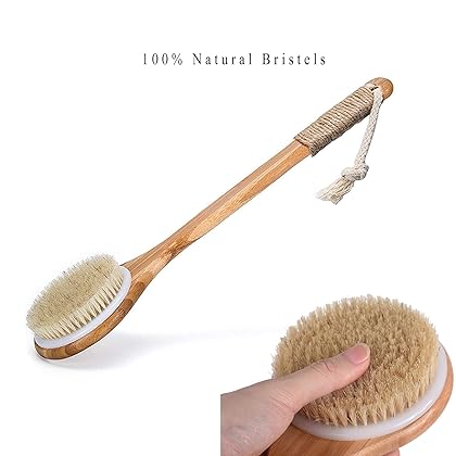 Chikoni Dry Bath Body Brush Back Scrubber with Anti-Slip Long Wooden Handle, 100% Natural Bristles Body Massager, Perfect for Exfoliating, Detox and Cellulite, Blood Circulation, Good for Health