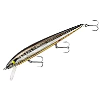 Lures Perfect 10 Rogue Fishing Lure