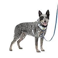 PetSafe Easy Walk Comfort No-Pull Dog Harness Full-Body Padding - Better Walks on The First Use - 5 Points of Adjustment Medium/Large, Blue