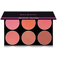 The Masterpiece 6 Colors Large Makeup Blush Palette - SHE'S NOT SHY