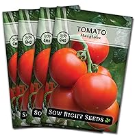 Sow Right Seeds - Marglobe Tomato Seeds for Planting - Non-GMO Heirloom Packet with Instructions to Plant and Grow a Home Vegetable Garden - Classic Medium Red Variety - Determinate Hydroponic (4)