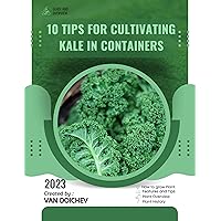 10 Tips For Cultivating Kale in Containers: Guide and overview