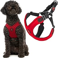 Gooby Escape Free Sport Harness - Red, Large - No Choke Step-in Patented Neoprene Small Dog Harness with Four-Point Adjustment - Perfect on The Go Dog Harness for Medium Dogs No Pull and Small Dogs