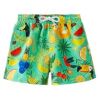 Boys Swim Trunks Toddler Kids Board Shorts with Compression Liner Quick Dry Little Boy Swimsuit Sizes 2-10t