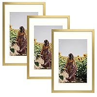 Frametory, 16X24 Picture Frame Display 12X18 with Mat or Without Mat, Horizontal or Vertical Wall Poster Frame with High Definition Glass, Wide Molding, Perfect for Home Decorate (Gold, 3 Pack)