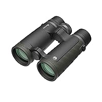 Burris Signature HD 10x42 Hunting Binoculars