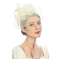 Kentucky Derby Fascinators for Women High Tea Party Hat Wedding Cocktail Flower Headware with Mesh and Feathers