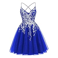 Lace Applique Sparkly Prom Dresses for Teens Short Tulle Homecoming Dresses Mini Cocktai Dresses
