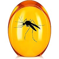 Amber Mosquito Paper Weight Collectible with Dino DNA