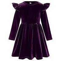 Vintage Princess Toddler Baby Girl Long Sleeve Velvet Ruffle Tutu Lace Dress Xmas Wedding Birthday Party Fall Winter Clothes