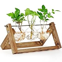 Propagation Stations, Air Plant Terrarium Bulb Vase with Wooden Stand, Plant Propagation Station for Indoor Hydroponics Plants for Home Office Garden, Gift for Planter Lovers (3 Bulbs)