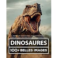 Dinosaure Livre - Dinosaures Imagerie - Grande Collection Étonnante: 100 Belles Images Dans Ce Fantastique Livre De Dinosaure - Pour Enfants Et Adultes (French Edition)