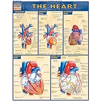 Heart (Quick Study Academic) Heart (Quick Study Academic) Cards