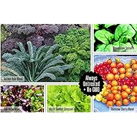 Seeds N Such 4780 Hand Selected Garden Salad Mix Seeds | Includes 10 Individually Packaged Varietals | High Germination Rates | Untreated & Non-GMO