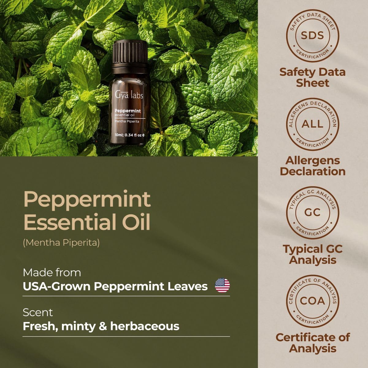 Gya Labs Peppermint Oil for Diffuser - 100% Natural Mint Essential Oils - Peppermint Essential Oil for Diffuser, Skin & Hair (0.34 fl oz)