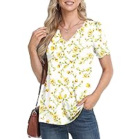 BISHUIGE Women's 2024 Summer Short Sleeve Tunic Tops Casual Loose V Neck Comfy T-shirts Blouse For Leggings