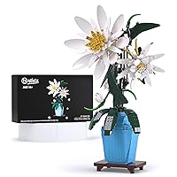 Nifeliz Epiphyllum Display Model, Flower Building Toy, Home Decor for Adult Plant Lovers and Gift Giver (678 Pieces)