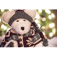 Fuzzy Polar Bear Photo Cute Toy Animal in Sweater Unframed Winter Wall Art Print Christmas Gift White Maroon Gray Holiday Picture Still Life Photography