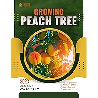 Peach Tree: Guide and overview