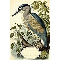 boat billed heron bird Composition Notebook College Ruled: boat billed heron bird vintage botanical illustration journal, Cute Lined Notebook Vintage ... Writing Pages Journal with Personalized bi