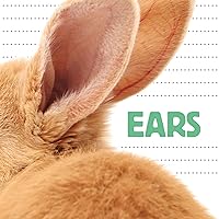Ears (Whose Is It?) Ears (Whose Is It?) Board book Paperback