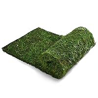 Dried Moss Table Runner, Dried Moss for Crafts (12 x 71 Inches)