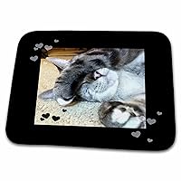 3dRose Cute Sleepy Paw Grey and White Tabby Cat Lovers Photo - Dish Drying Mats (ddm-242434-1)