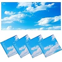 4 Pcs Fluorescent Light Covers - Light Covers for Ceiling Lights Classroom, Magnetic Light Filters for Office, Hospitals, Home 4 x 2 Feet (Blue Skies & White Clouds)