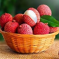 10pcs Lychee Tropical Fruit Heirloom Seeds - Non-GMO Litchi Seed for Exotic Home Gardening